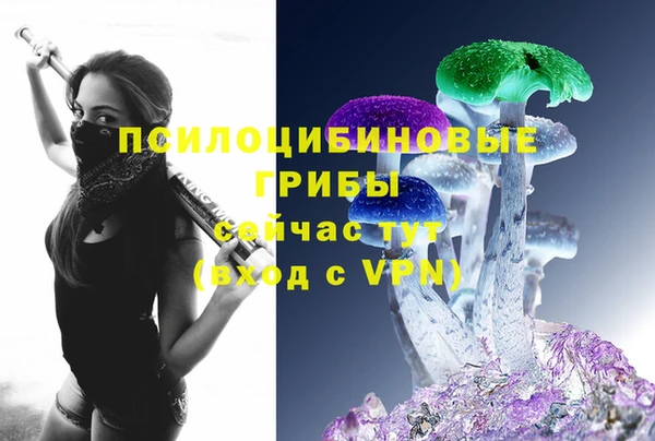 spice Зеленокумск