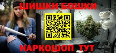 индика Аргун