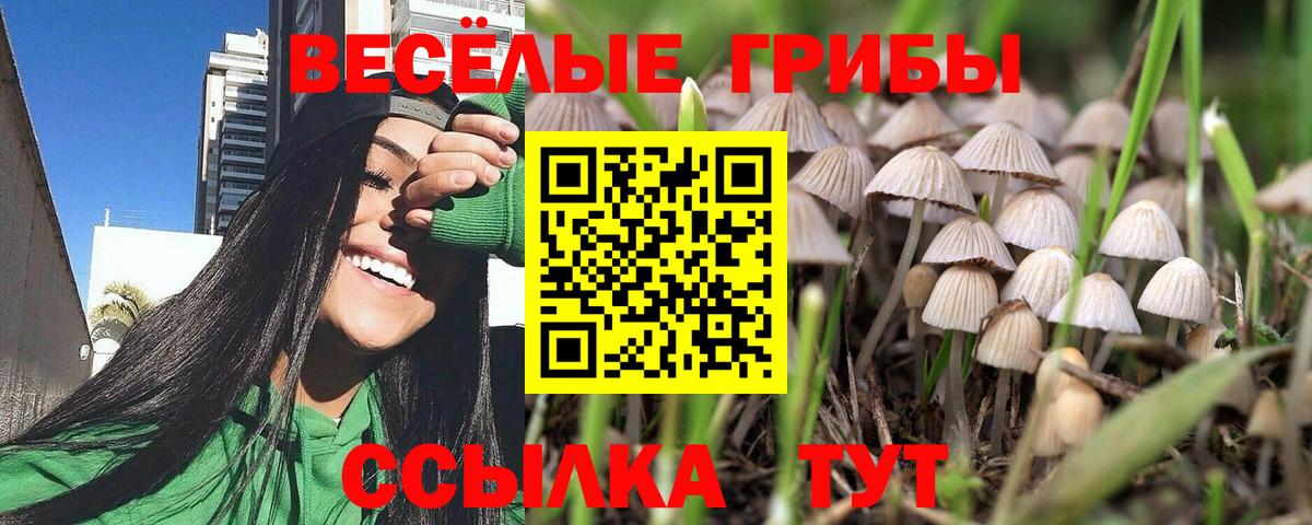 Галлюциногенные грибы мухоморы Белгород